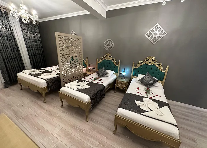 Ethnica 酒店 伊斯坦布尔