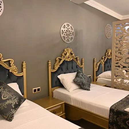 Ethnica Hotel Istanboel